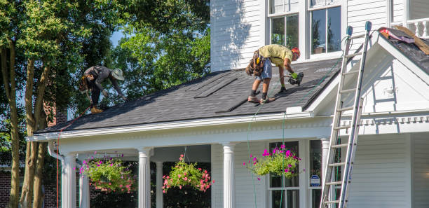 Best Roof Gutter Cleaning  in Mcclure, PA